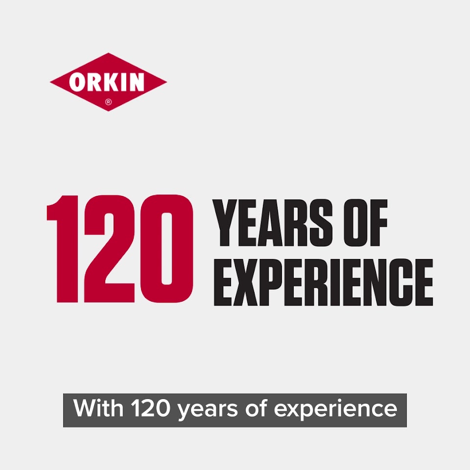 Orkin project