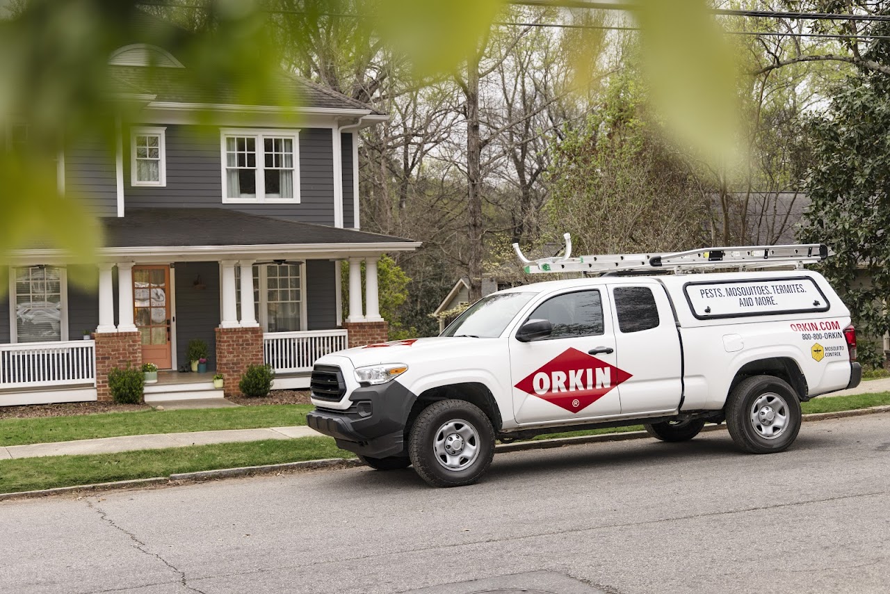 Orkin project